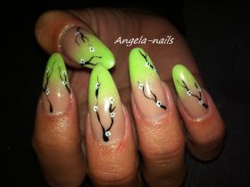 IMG_1300.jpg